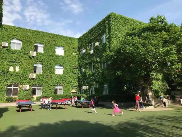 除了“五朵金花”，成都各个区还有哪些公办小学值得考察