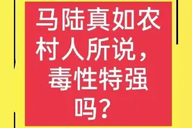 马陆毒性无药可解，是真的吗？怎么才能消灭它们？图片