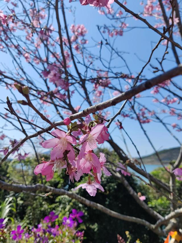 ���˽ڽ��յ��ر�-��ӣ��?