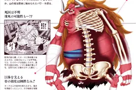 《海贼王》巨怪解剖图鉴，那些拥有惊人尺寸的怪物和身体构造图片