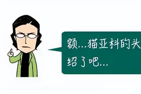喂！老虎，你也太不检点了吧图片