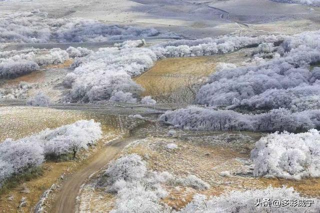 贵州威宁：雾凇覆高原 仙境入画来