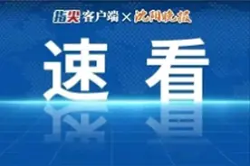 看看DeepSeek写辽宁中考作文，您给评多少分？图片