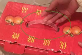 纸箱上的塑料提手千万不能扔，拆下来放家里这样用，解决了大问题图片