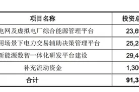 国能日新拟定增投资微电网及虚拟电厂图片