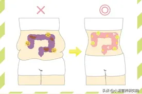 菌群有胖瘦之分？大火的“瘦子菌”B420什么来头？吃了真能瘦吗？图片
