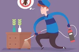 家里蟑螂抓不完，是你方法没用对！一文教你靠谱灭蟑图片