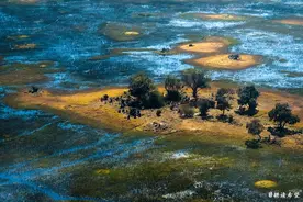 非洲200天（28）奥卡万戈三角洲——世界上最昂贵的旅行景点之一图片