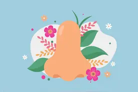 关于 人类鼻子的一些冷知识图片