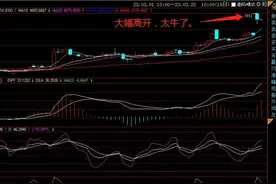 2023年大蒜走势如何？谁能赚到钱？为什么说有人哭有人笑？图片