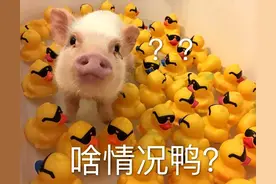 表情包‖问号合集/你这个年龄段，你睡得着觉？图片