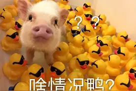 表情包‖问号合集/你这个年龄段，你睡得着觉？图片