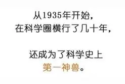适合介绍给家里神兽们的科学界十大神兽图片