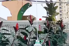 小苏打加柠檬酸是“万用清洁剂”？答案：假的，分享正确清洁方法图片