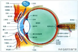 眼球红肿外凸一定是眼部疾患？NO图片