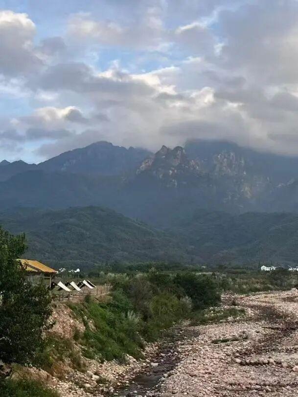 黄山奇遇记：冬观候鸟，野探短尾猴，一场徒步自然的探索之行