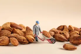 近百万件假名牌坚果礼盒流入市场，9人获刑图片