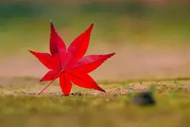 有一种人，屏蔽你的朋友圈，却没有删除你图片