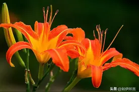 细思极恐的母亲节和父亲节，你确定还要跟风吗？图片