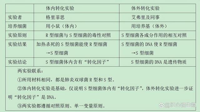 高中生物-基因的本质与表达