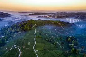 走！周末来雅安，打卡属于春天的限定体验图片