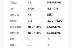IgA肾病5级，尿蛋白从12g减到1.6g，肾病教会我最重要的一件事图片