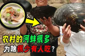 啥都吃的中国人，为啥对肉多的河蚌难下嘴？它是有虫还是有毒？图片