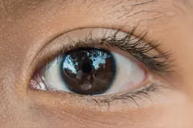 了解眼睛的结构和功能，可能比熟悉眼妆更重要图片