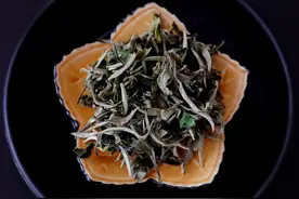白茶该怎么冲泡？用什么茶具？使用多少度的水温比较好？图片