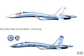 从宝贝到鸡肋，详解中国空军歼-11战斗机的构造和使用图片