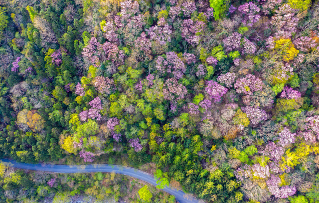 四川省民生研究会新媒体中心-官网