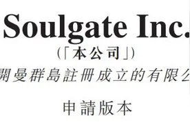 情色、杀猪盘，Soul要圈住谁的灵魂和钞票？图片