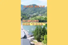 东西协作 情系万州 | 微山湖四鼻鲤鱼让这里＂日进斗金＂图片