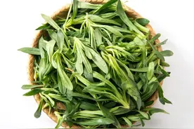 怎么辨别面条菜、王不留行及麦家公这3种野菜图片