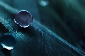 寒露：一场秋雨，一场寒，谁的思念凝露，愿君无恙图片