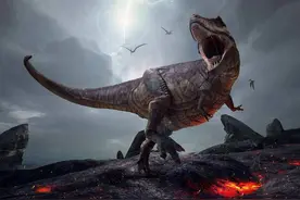 南极冰盖下有啥东西？俄罗斯钻探20年，地下4000米处有了神奇发现图片