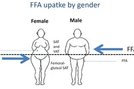 孩子的智商和妈妈的身材有关？并非迷信，有科学依据！研究揭秘图片