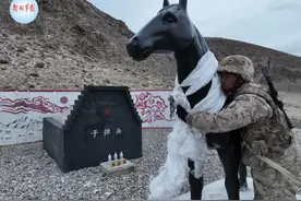 致敬无言战友！你们的奉献，我们从未忘记图片