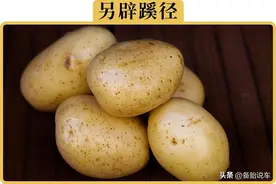 土豆就能去除玻璃油膜？网上说的土办法到底靠不靠谱图片