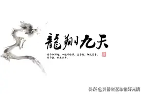 人生四十反思（十一）：君子应处木雁之间，当有龙蛇之变图片