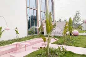 不回家，婚姻登记就在成都办！图片