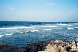 10句《奇葩说》经典文案，读完让人深思图片