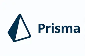 为什么你要考虑使用Prisma图片