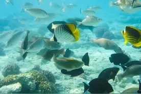 我在国外的那些年-国外见闻之业余生活(阿曼篇)图片