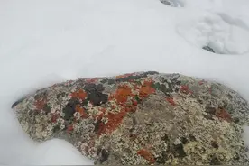 川进青出自驾游Day13 格尔木-玛多-玛沁图片