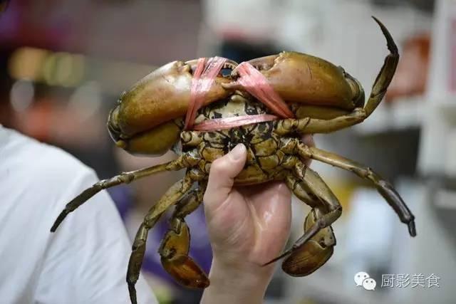 40头的花胶是几级 2025年花胶40头是什么意思?