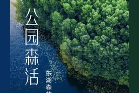 邯郸人买房后，想商业贷款提取公积金？网上办理指南来了图片