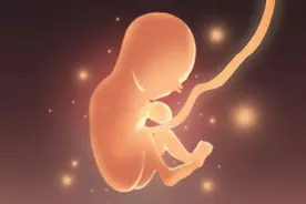 肚脐为什么不能随便抠？肚脐的另一头真的连接着肠道吗？图片