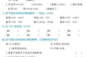 最新！六年级语文下册（1~8单元+专项突破+期末试卷）PDF 电子版图片