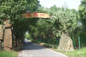 凤凰洲与半墩祠堂图片